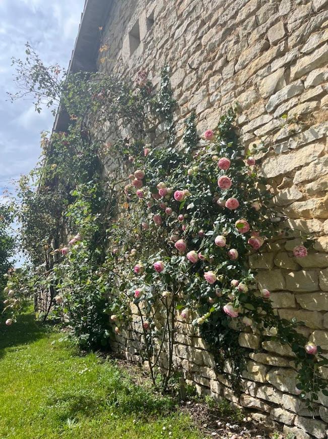 Maison Terracotta, Le Calme Aux Portes De Poitiers Saint-Julien-l'Ars エクステリア 写真